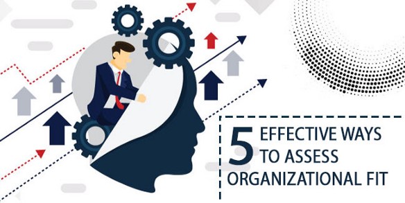 Effective Ways to Assess Organizational Fit